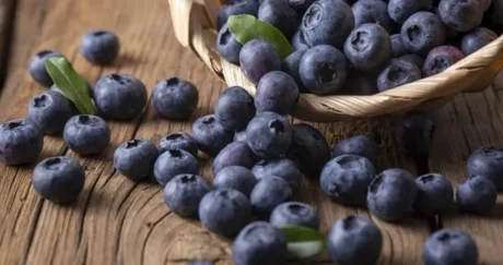 Yaban Mersini Özü 700gr