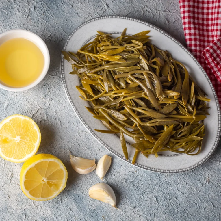 kaya-korugu-tursusu-2